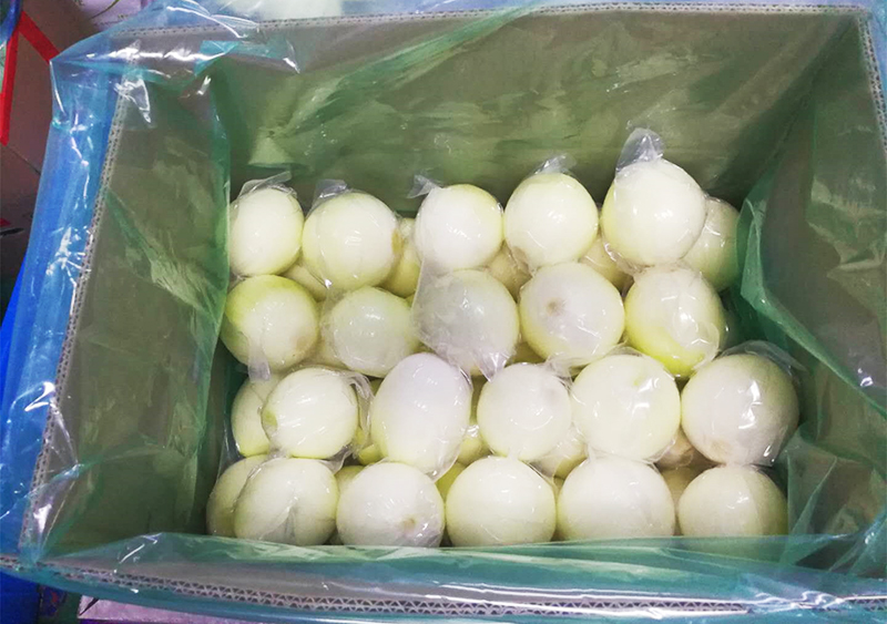 窒素入り玉ねぎ