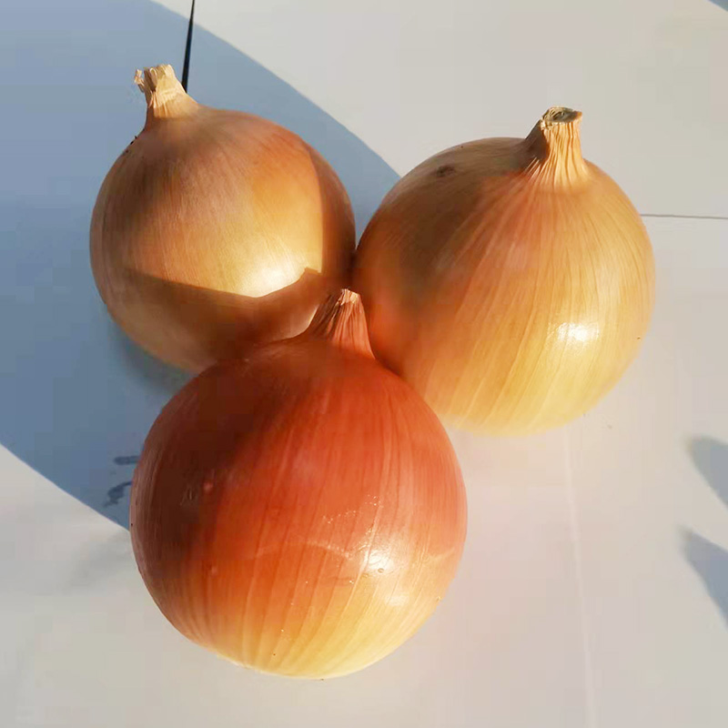 皮付玉蔥